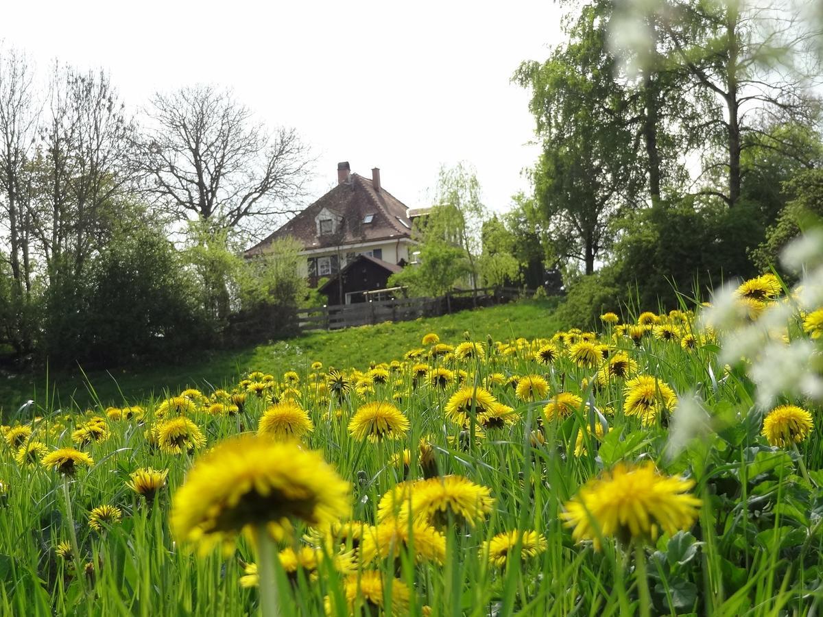 Landhaus Loewenzahn Unteregg Luaran gambar